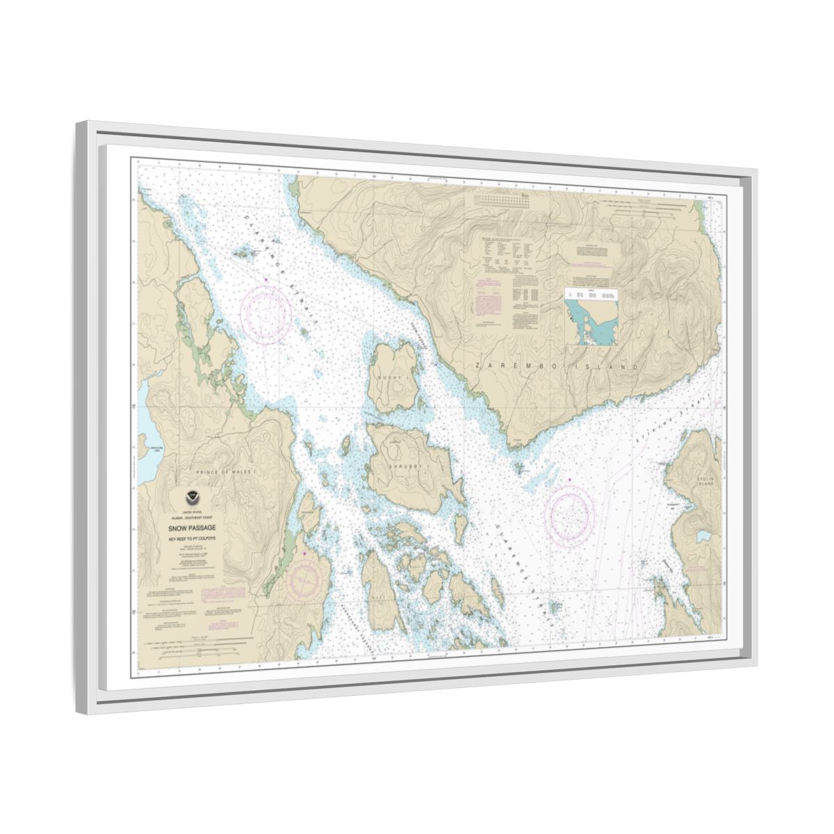 Chart 17383 Snow Passage, Alaska - NOAA Nautical Chart Floating Frame Canvas | 30" x 20" | 36" x 24" | 48" x 32" - White side