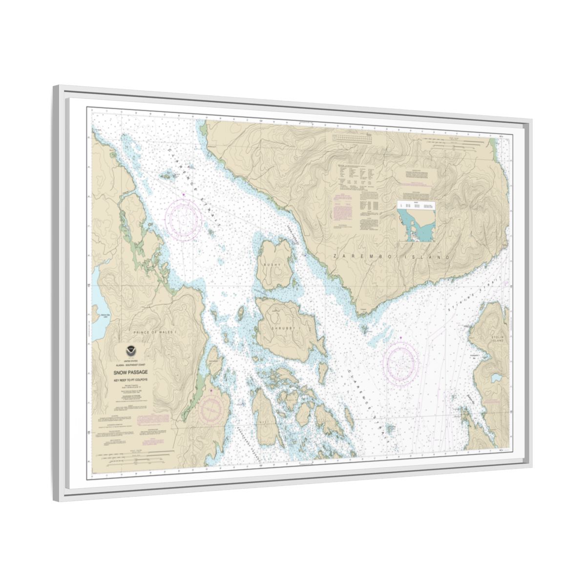 Chart 17383 Snow Passage, Alaska - NOAA Nautical Chart Floating Frame Canvas | 30" x 20" | 36" x 24" | 48" x 32" - White side