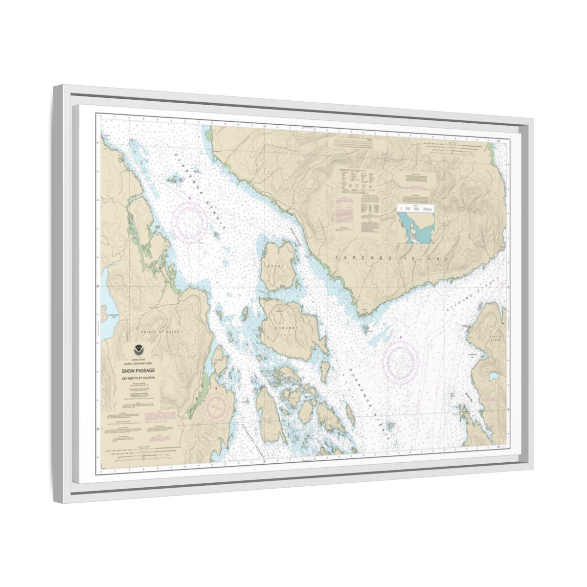 Chart 17383 Snow Passage, Alaska - NOAA Nautical Chart Floating Frame Canvas | 30" x 20" | 36" x 24" | 48" x 32" - White side