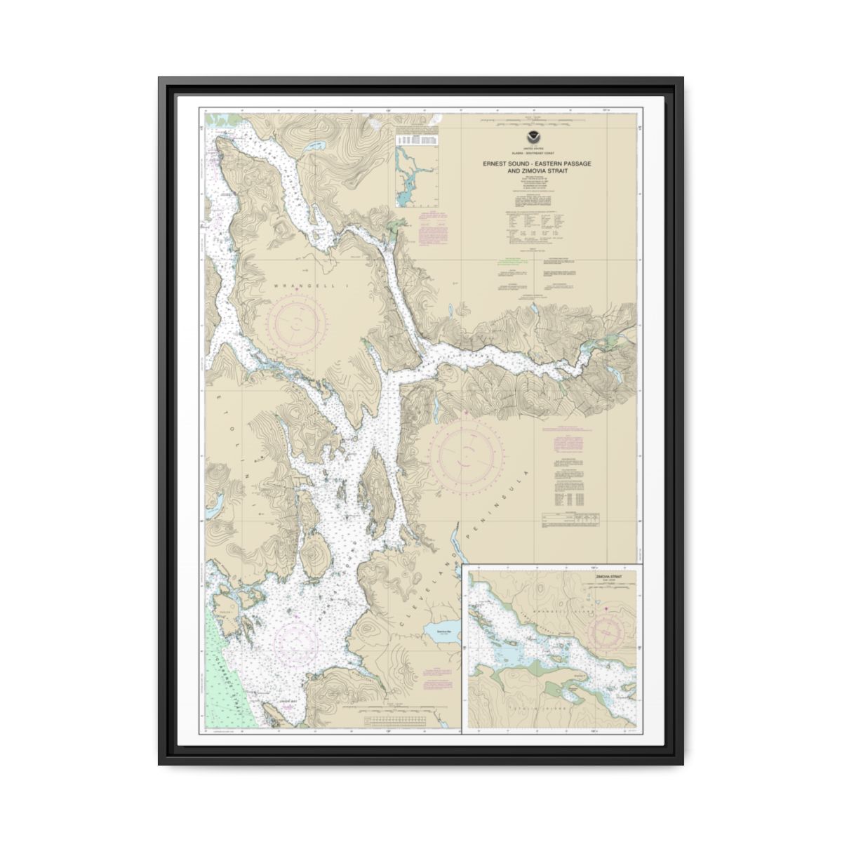 Chart 17385 Ernest Sound-Eastern Passage and Zimovia Strait;Zimovia Strait - NOAA Nautical Chart Floating Frame Canvas | 24" x 32" | 30" x 40" - Black front