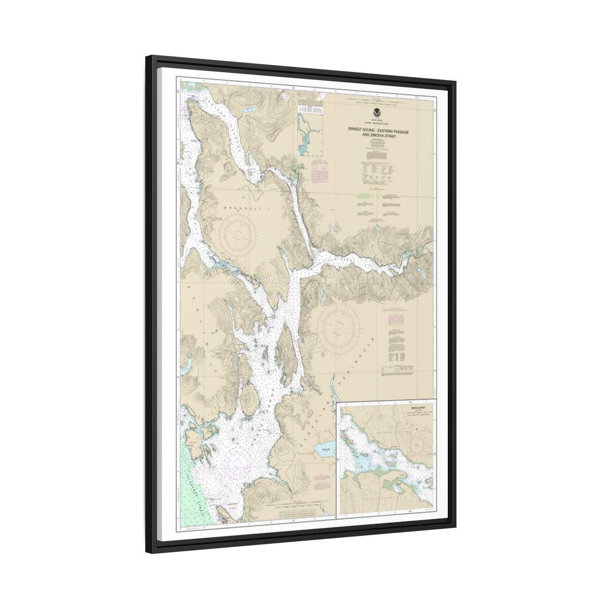 Chart 17385 Ernest Sound-Eastern Passage and Zimovia Strait;Zimovia Strait - NOAA Nautical Chart Floating Frame Canvas | 24" x 32" | 30" x 40" - Black side