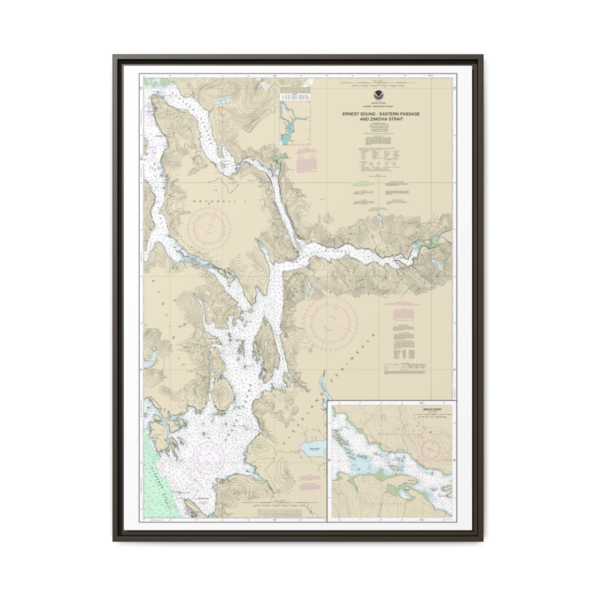 Chart 17385 Ernest Sound-Eastern Passage and Zimovia Strait;Zimovia Strait - NOAA Nautical Chart Floating Frame Canvas | 24" x 32" | 30" x 40" - Espresso front