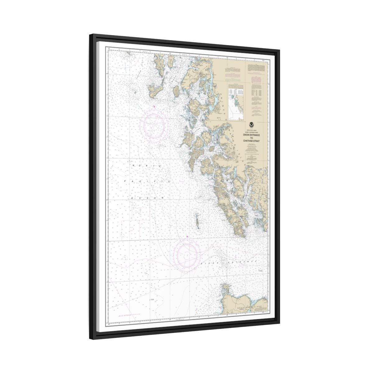 Chart 17400 Dixon Entrance to Chatham Strait - NOAA Nautical Chart Floating Frame Canvas | 24" x 32" | 30" x 40" - Black side