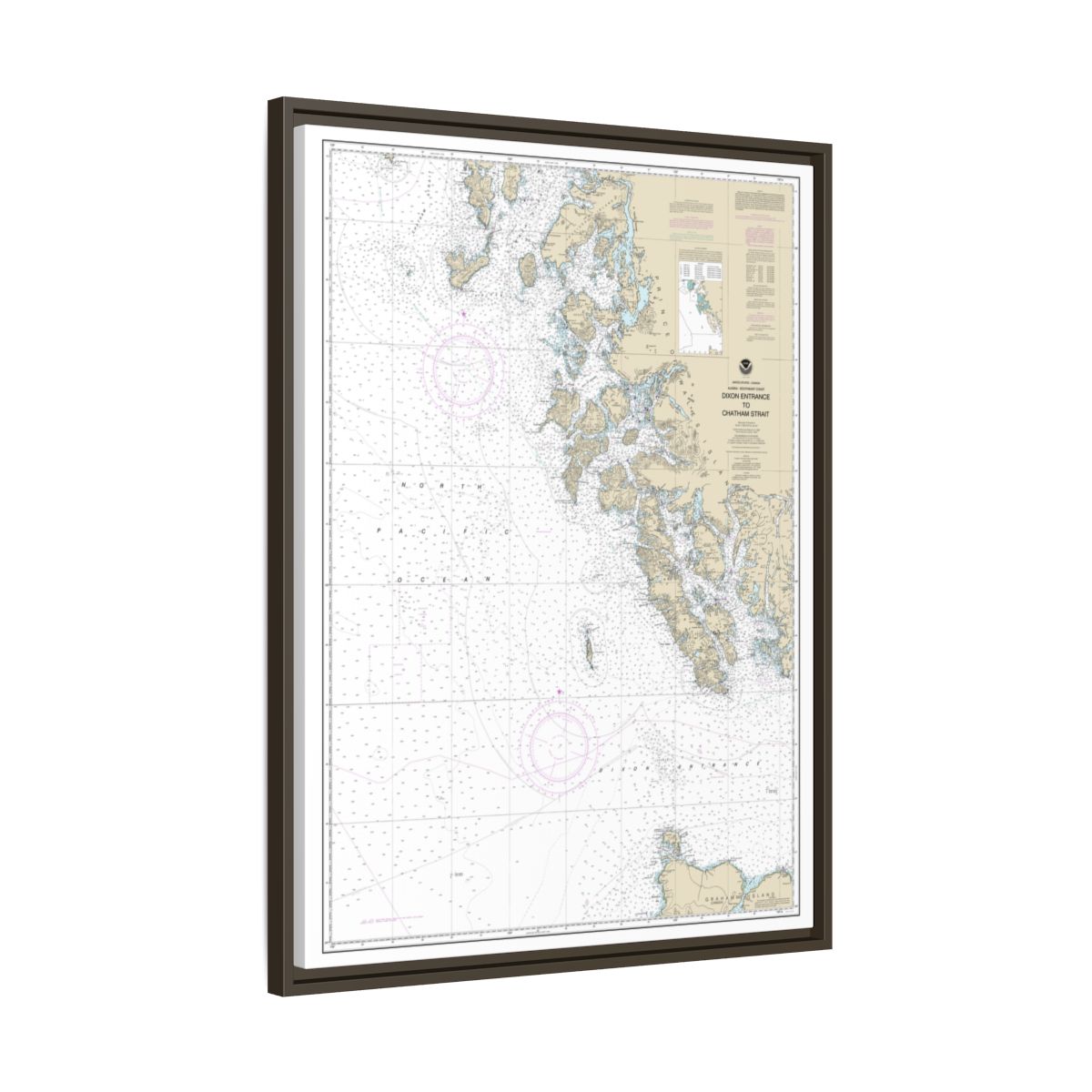 Chart 17400 Dixon Entrance to Chatham Strait - NOAA Nautical Chart Floating Frame Canvas | 24" x 32" | 30" x 40" - Espresso side