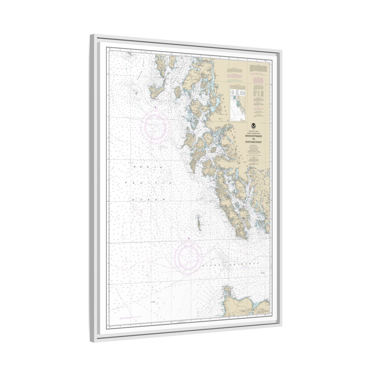 Chart 17400 Dixon Entrance to Chatham Strait - NOAA Nautical Chart Floating Frame Canvas | 24" x 32" | 30" x 40" - White side