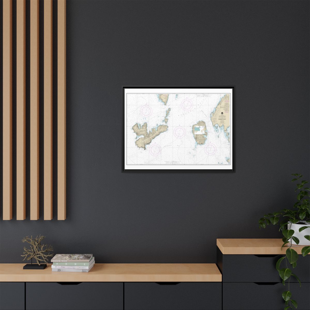 Chart 17402 Southern Entrances to Sumner Strait - NOAA Nautical Chart Floating Frame Canvas | 32" x 24" | 40" x 30" - Black context-2