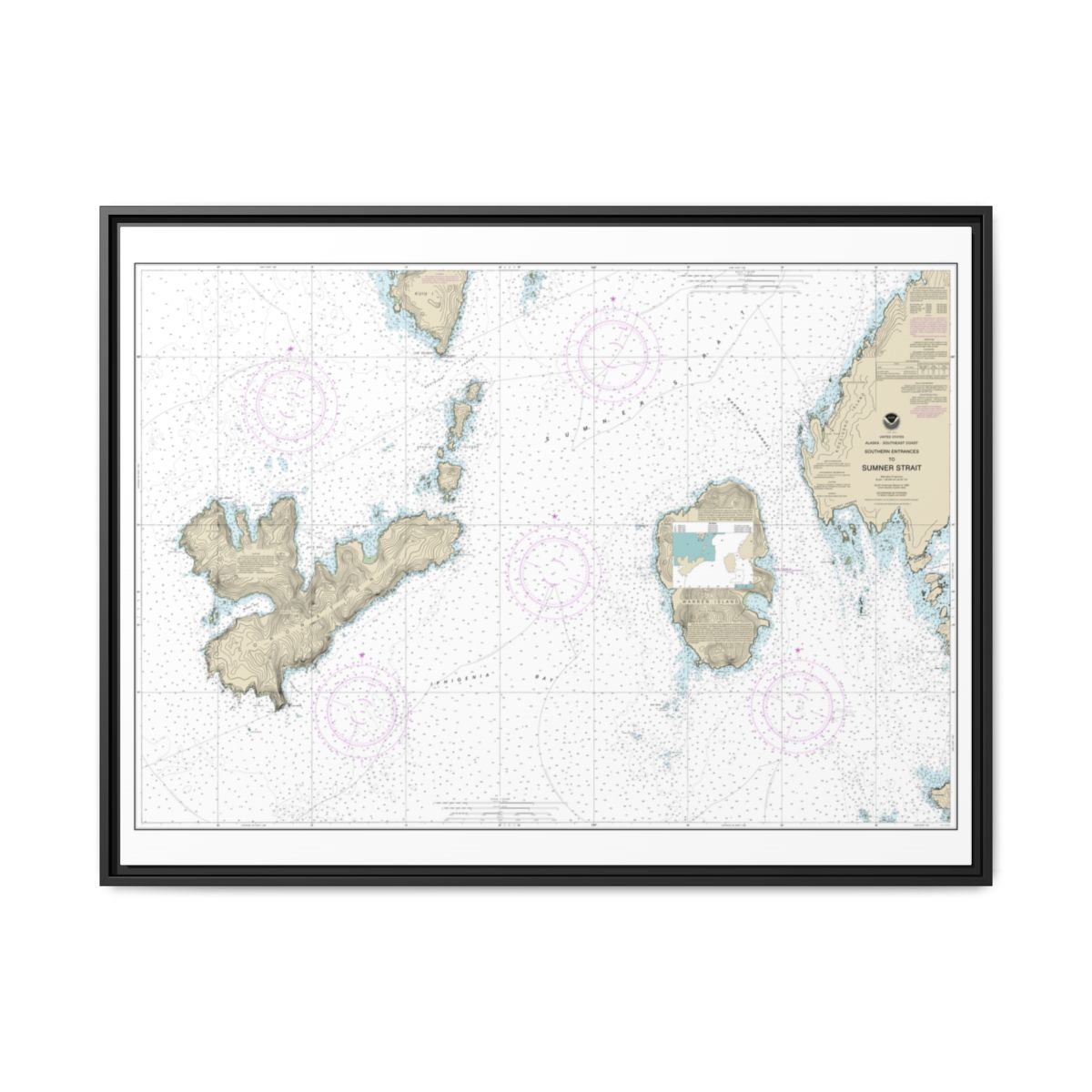 Chart 17402 Southern Entrances to Sumner Strait - NOAA Nautical Chart Floating Frame Canvas | 32" x 24" | 40" x 30" - Black front