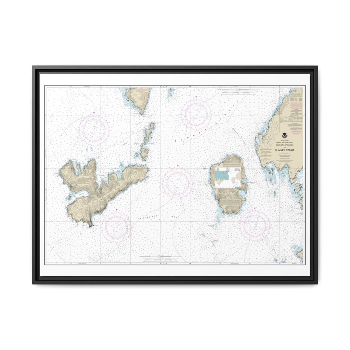 Chart 17402 Southern Entrances to Sumner Strait - NOAA Nautical Chart Floating Frame Canvas | 32" x 24" | 40" x 30" - Black front