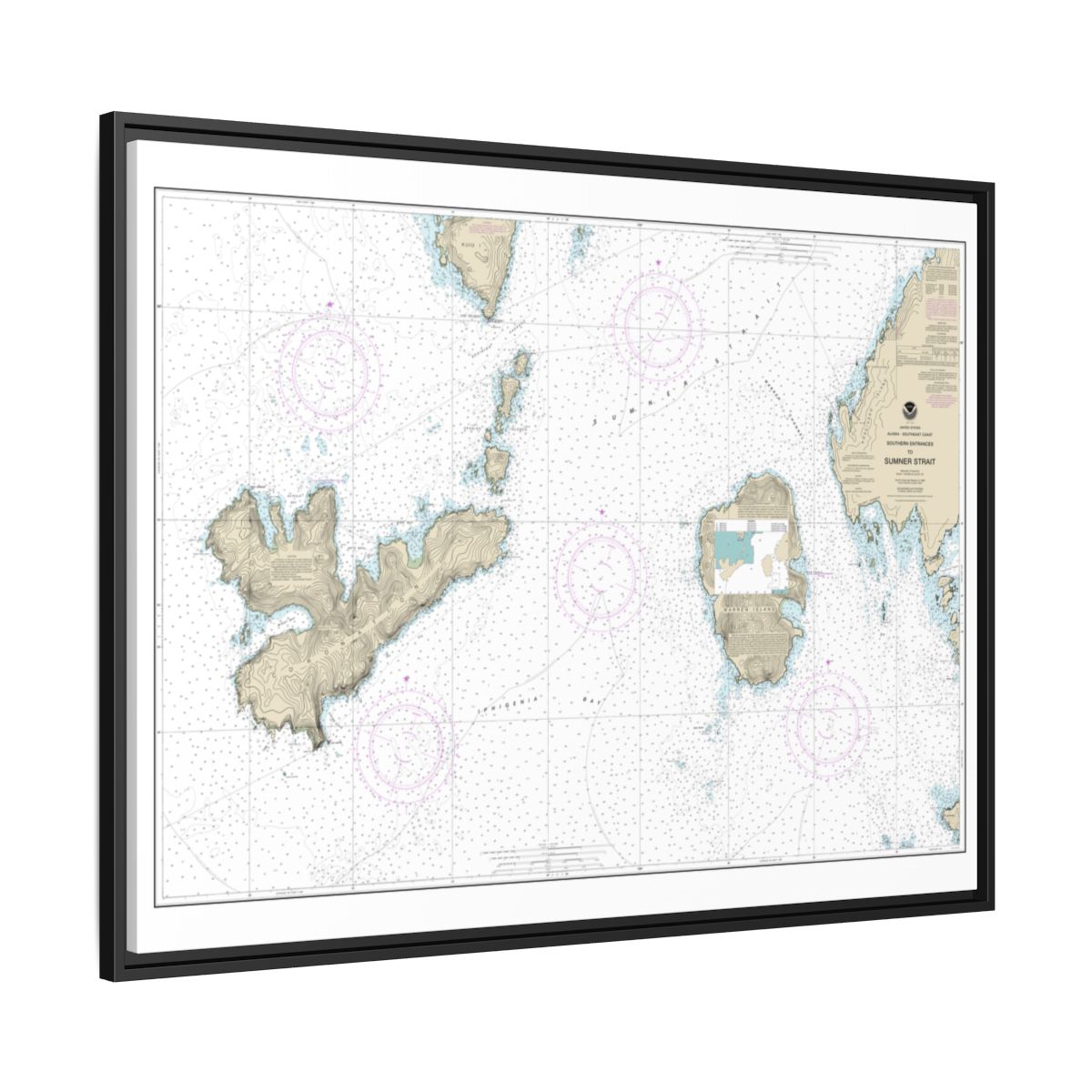 Chart 17402 Southern Entrances to Sumner Strait - NOAA Nautical Chart Floating Frame Canvas | 32" x 24" | 40" x 30" - Black side