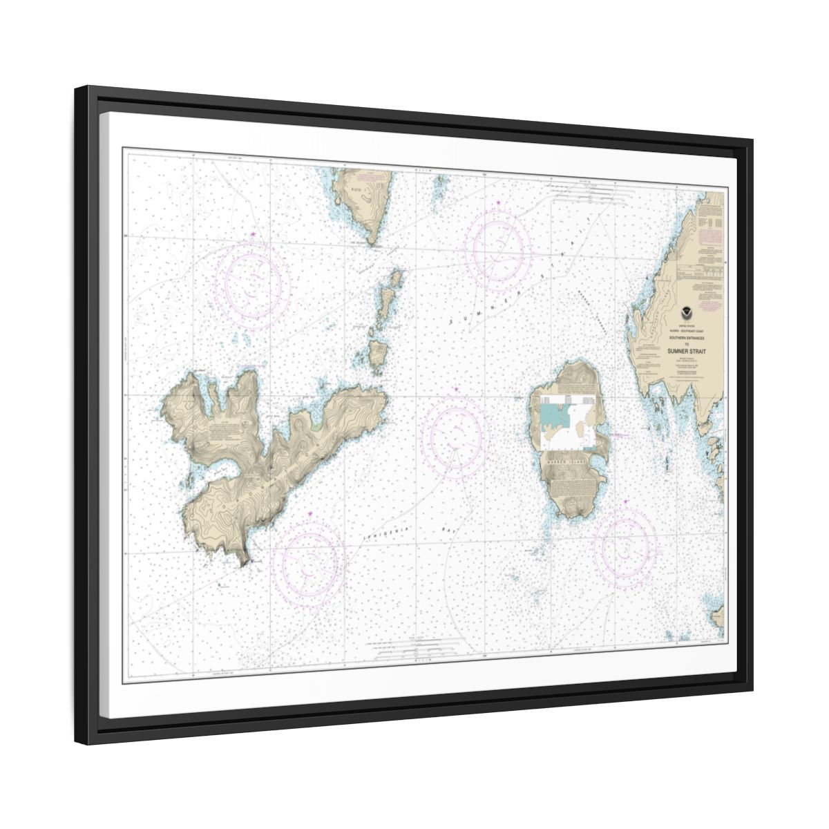 Chart 17402 Southern Entrances to Sumner Strait - NOAA Nautical Chart Floating Frame Canvas | 32" x 24" | 40" x 30" - Black side