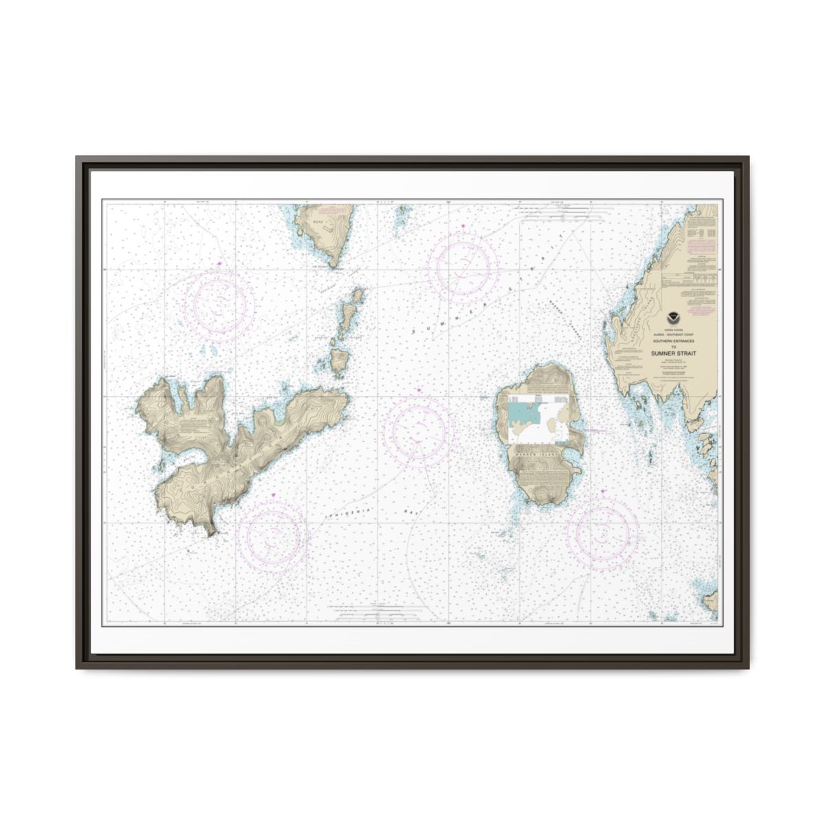 Chart 17402 Southern Entrances to Sumner Strait - NOAA Nautical Chart Floating Frame Canvas | 32" x 24" | 40" x 30" - Espresso front