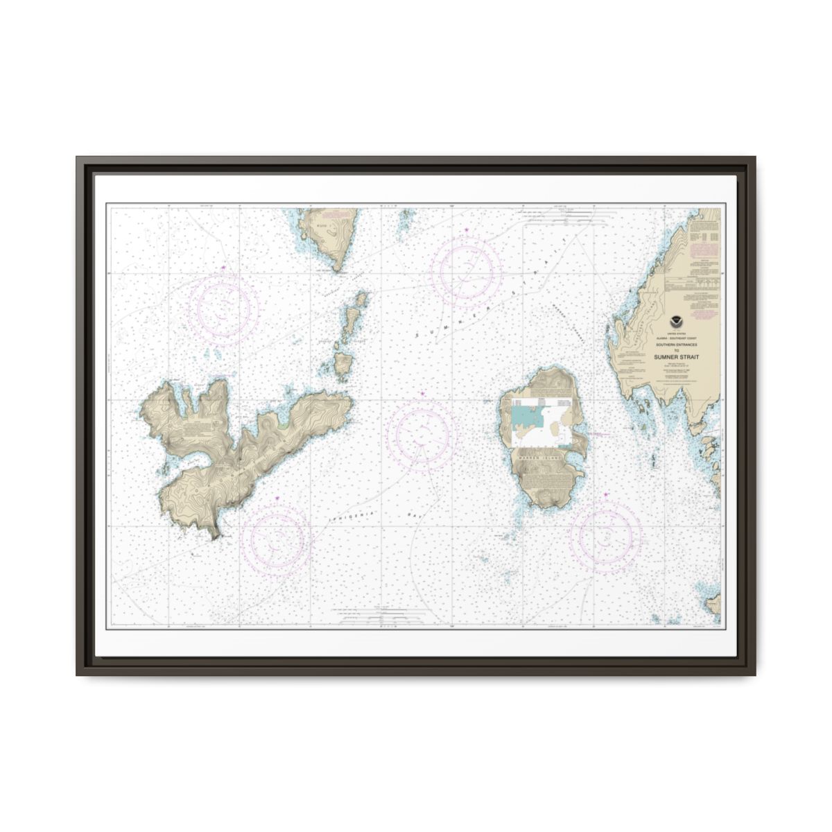 Chart 17402 Southern Entrances to Sumner Strait - NOAA Nautical Chart Floating Frame Canvas | 32" x 24" | 40" x 30" - Espresso front
