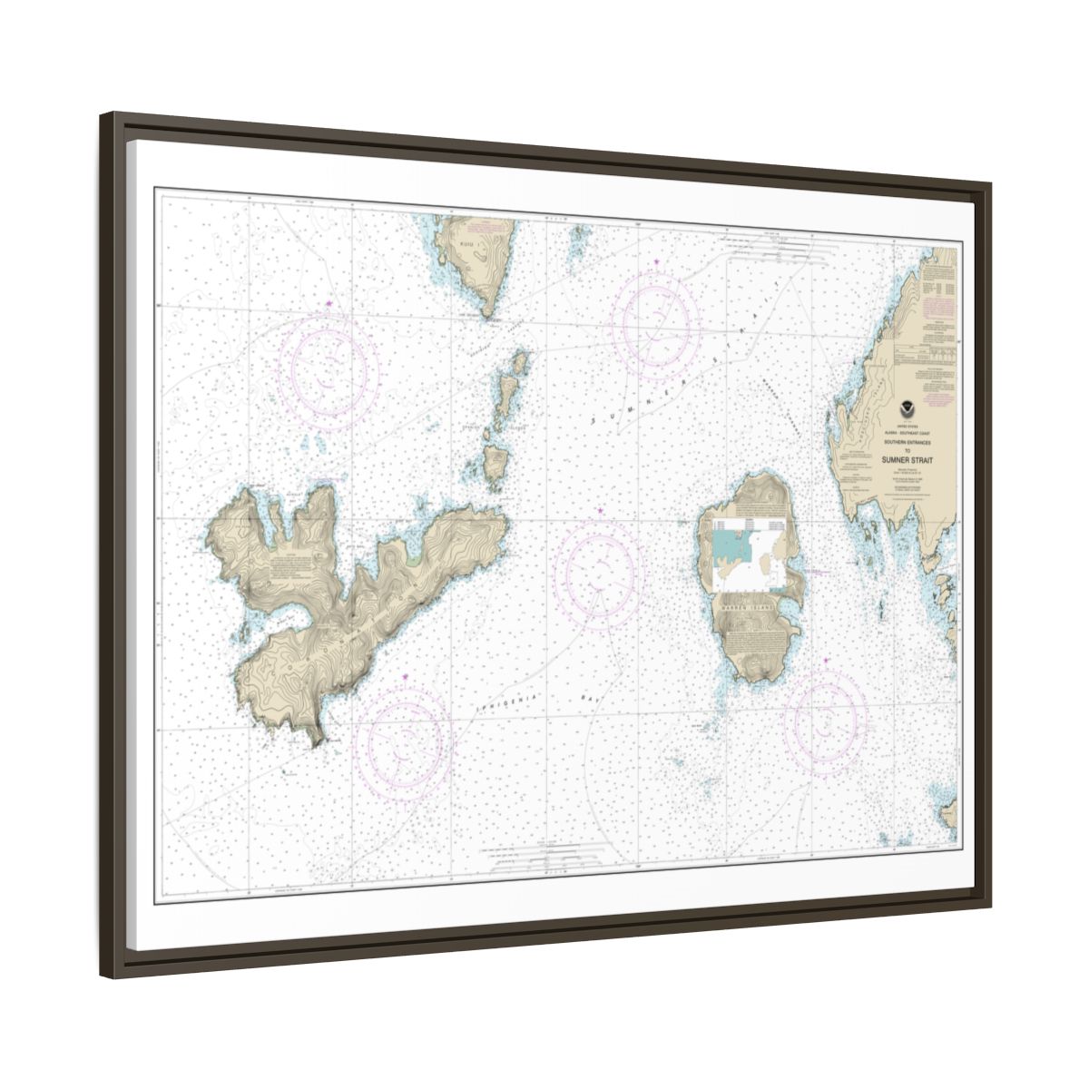 Chart 17402 Southern Entrances to Sumner Strait - NOAA Nautical Chart Floating Frame Canvas | 32" x 24" | 40" x 30" - Espresso side