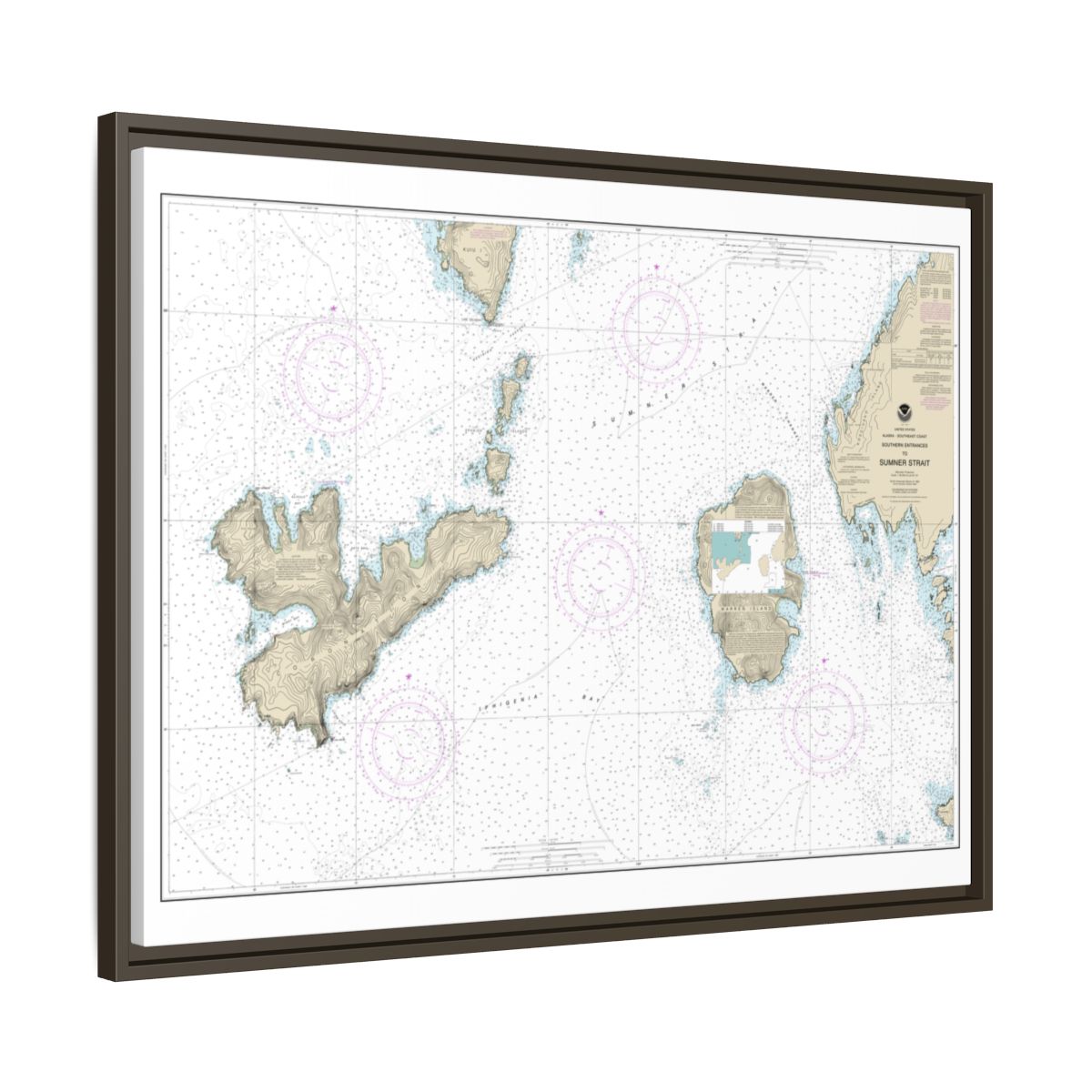 Chart 17402 Southern Entrances to Sumner Strait - NOAA Nautical Chart Floating Frame Canvas | 32" x 24" | 40" x 30" - Espresso side