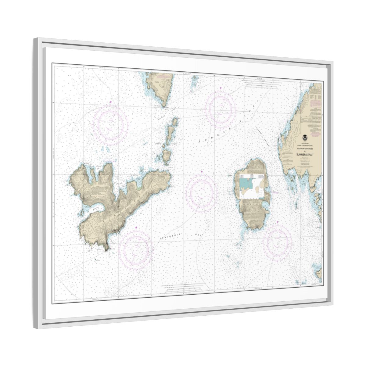 Chart 17402 Southern Entrances to Sumner Strait - NOAA Nautical Chart Floating Frame Canvas | 32" x 24" | 40" x 30" - White side