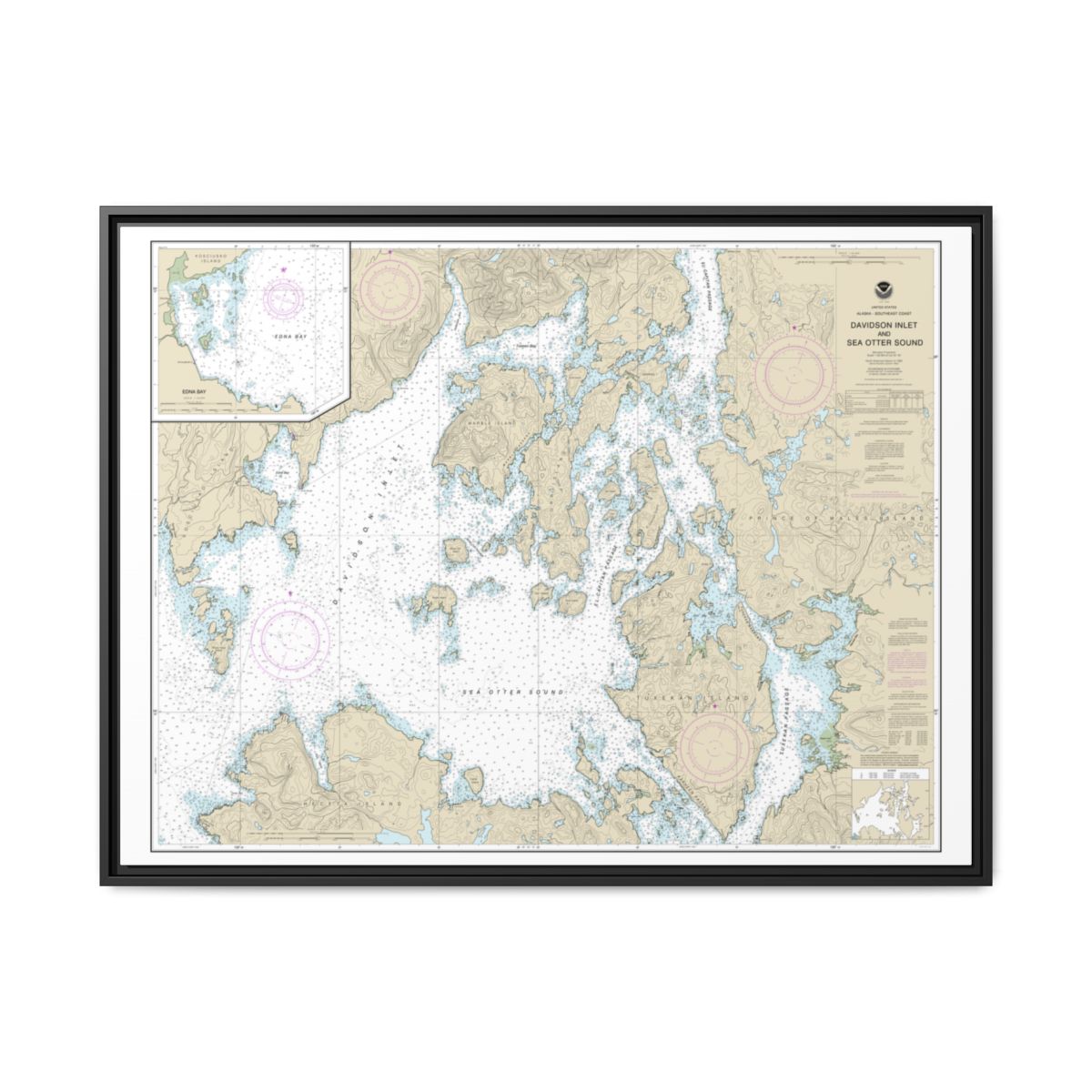 Chart 17403 Davidson Inlet and Sea Otter Sound;Edna Bay - NOAA Nautical Chart Floating Frame Canvas | 32" x 24" | 40" x 30" - Black front