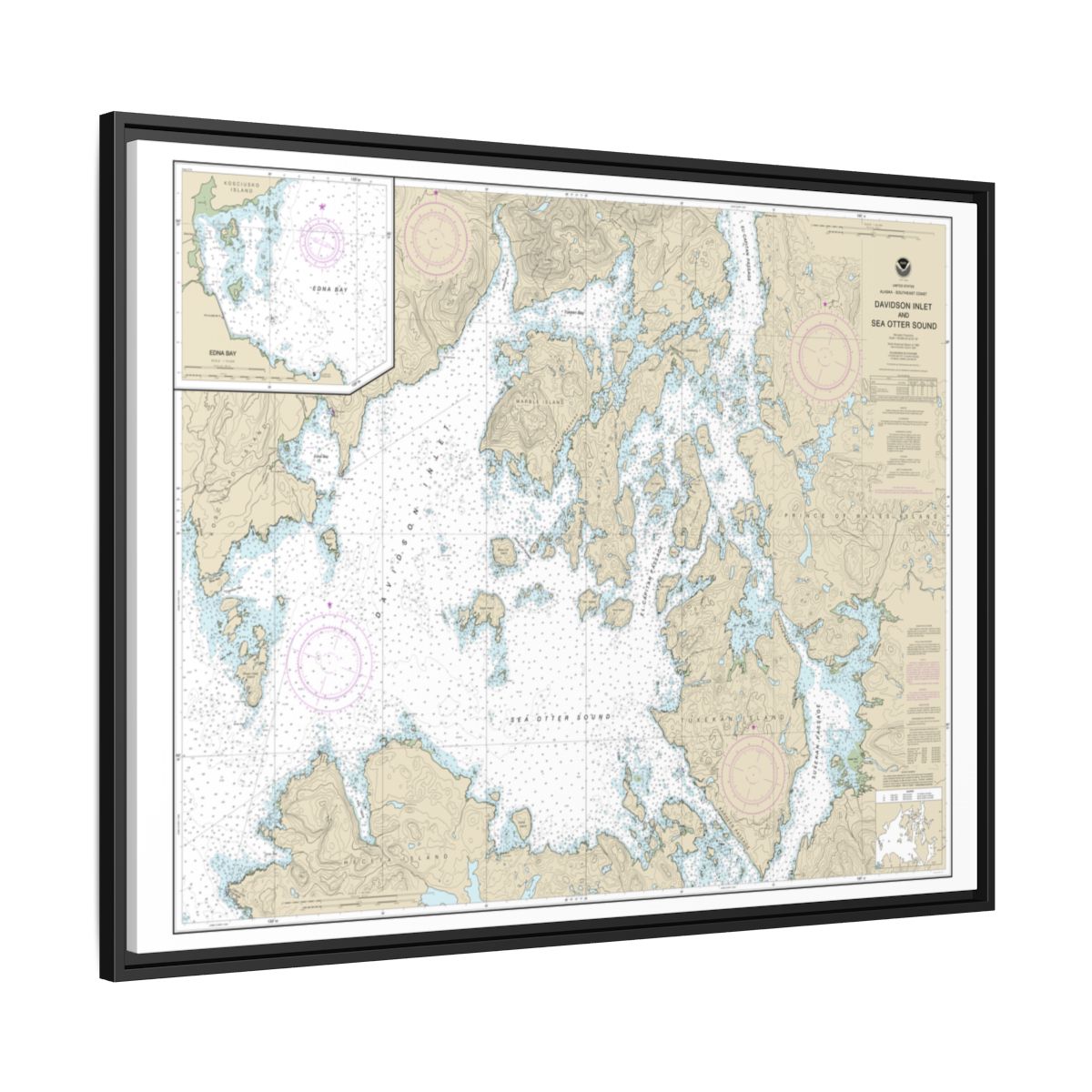 Chart 17403 Davidson Inlet and Sea Otter Sound;Edna Bay - NOAA Nautical Chart Floating Frame Canvas | 32" x 24" | 40" x 30" - Black side