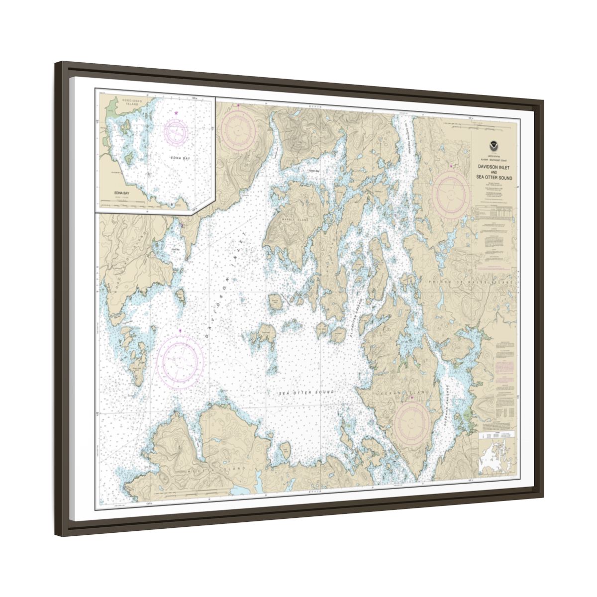 Chart 17403 Davidson Inlet and Sea Otter Sound;Edna Bay - NOAA Nautical Chart Floating Frame Canvas | 32" x 24" | 40" x 30" - Espresso side