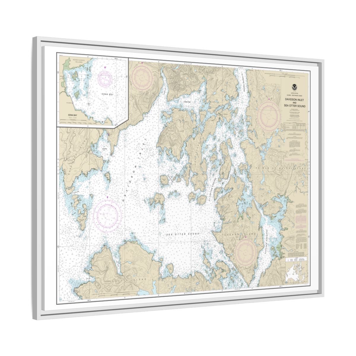 Chart 17403 Davidson Inlet and Sea Otter Sound;Edna Bay - NOAA Nautical Chart Floating Frame Canvas | 32" x 24" | 40" x 30" - White side