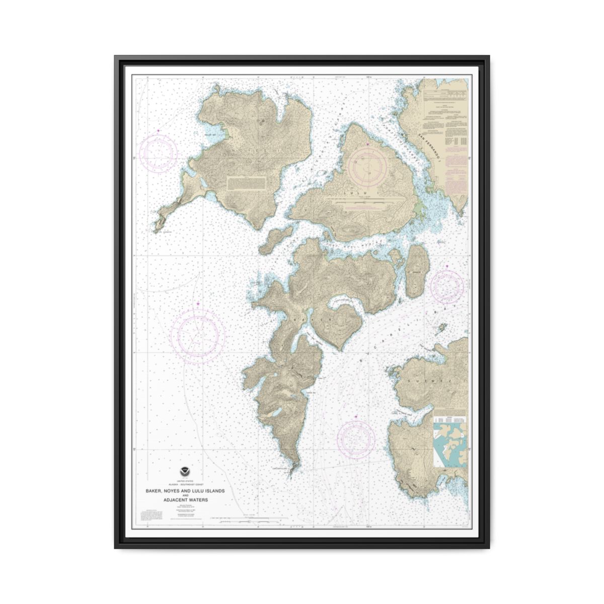 Chart 17406 Baker, Noyes, and LuluIslands and adjacent waters - NOAA Nautical Chart Floating Frame Canvas | 24" x 32" | 30" x 40" - Black front