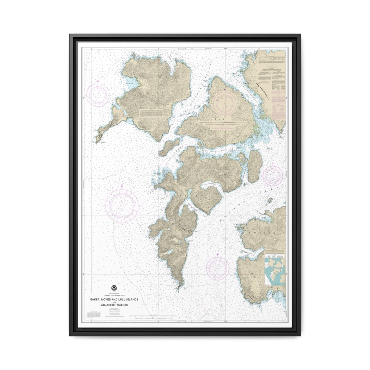 Chart 17406 Baker, Noyes, and LuluIslands and adjacent waters - NOAA Nautical Chart Floating Frame Canvas | 24" x 32" | 30" x 40" - Black front