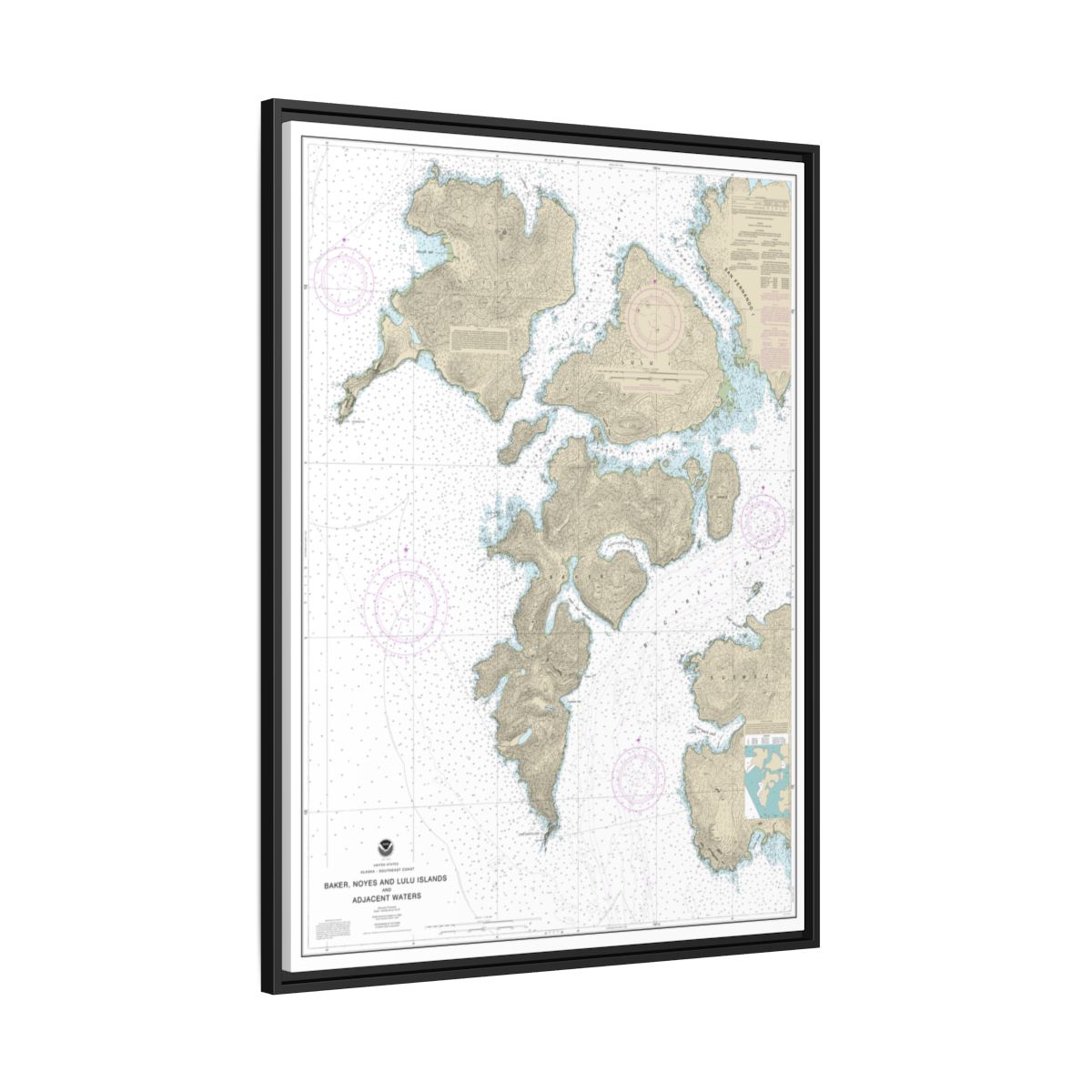 Chart 17406 Baker, Noyes, and LuluIslands and adjacent waters - NOAA Nautical Chart Floating Frame Canvas | 24" x 32" | 30" x 40" - Black side