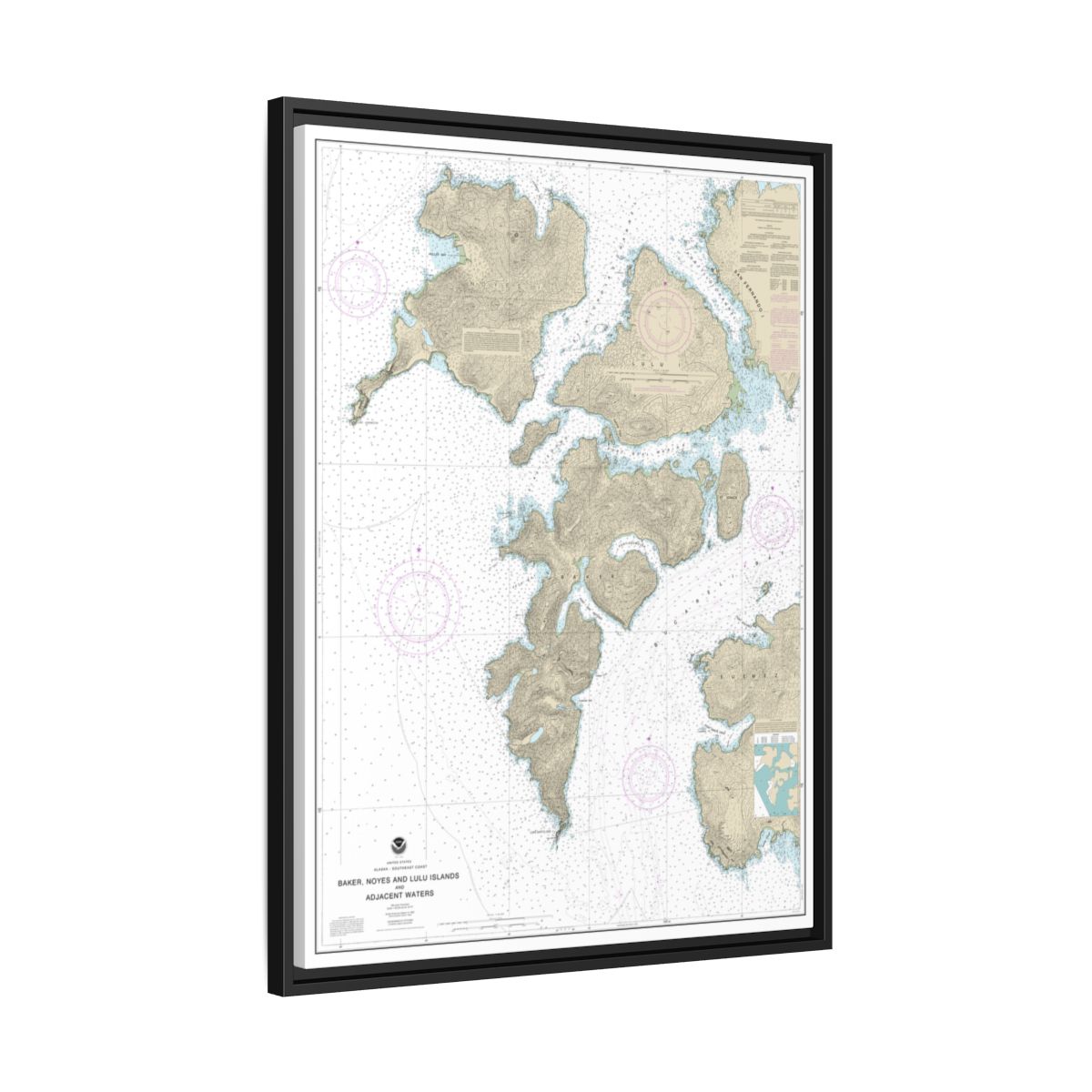 Chart 17406 Baker, Noyes, and LuluIslands and adjacent waters - NOAA Nautical Chart Floating Frame Canvas | 24" x 32" | 30" x 40" - Black side
