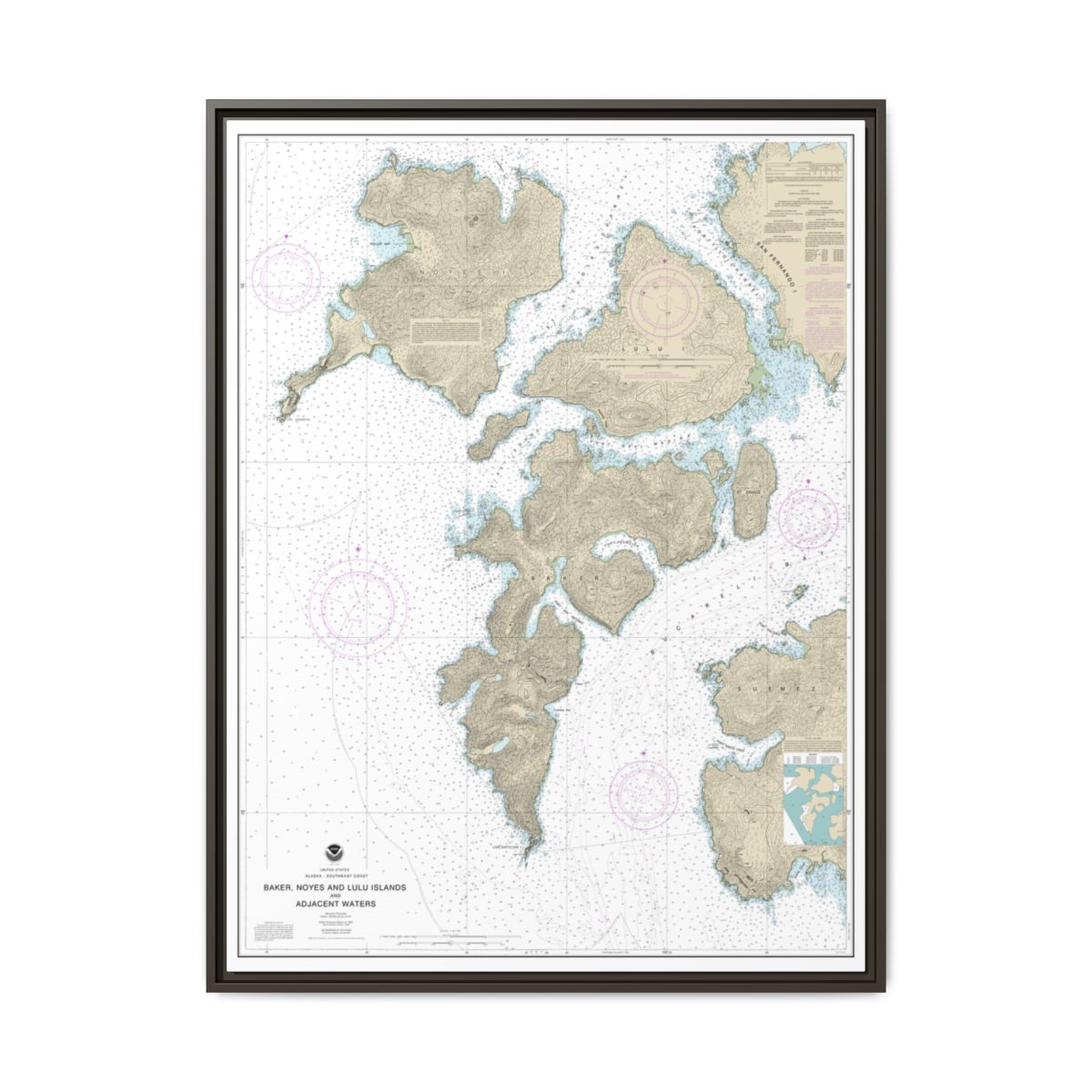 Chart 17406 Baker, Noyes, and LuluIslands and adjacent waters - NOAA Nautical Chart Floating Frame Canvas | 24" x 32" | 30" x 40" - Espresso front