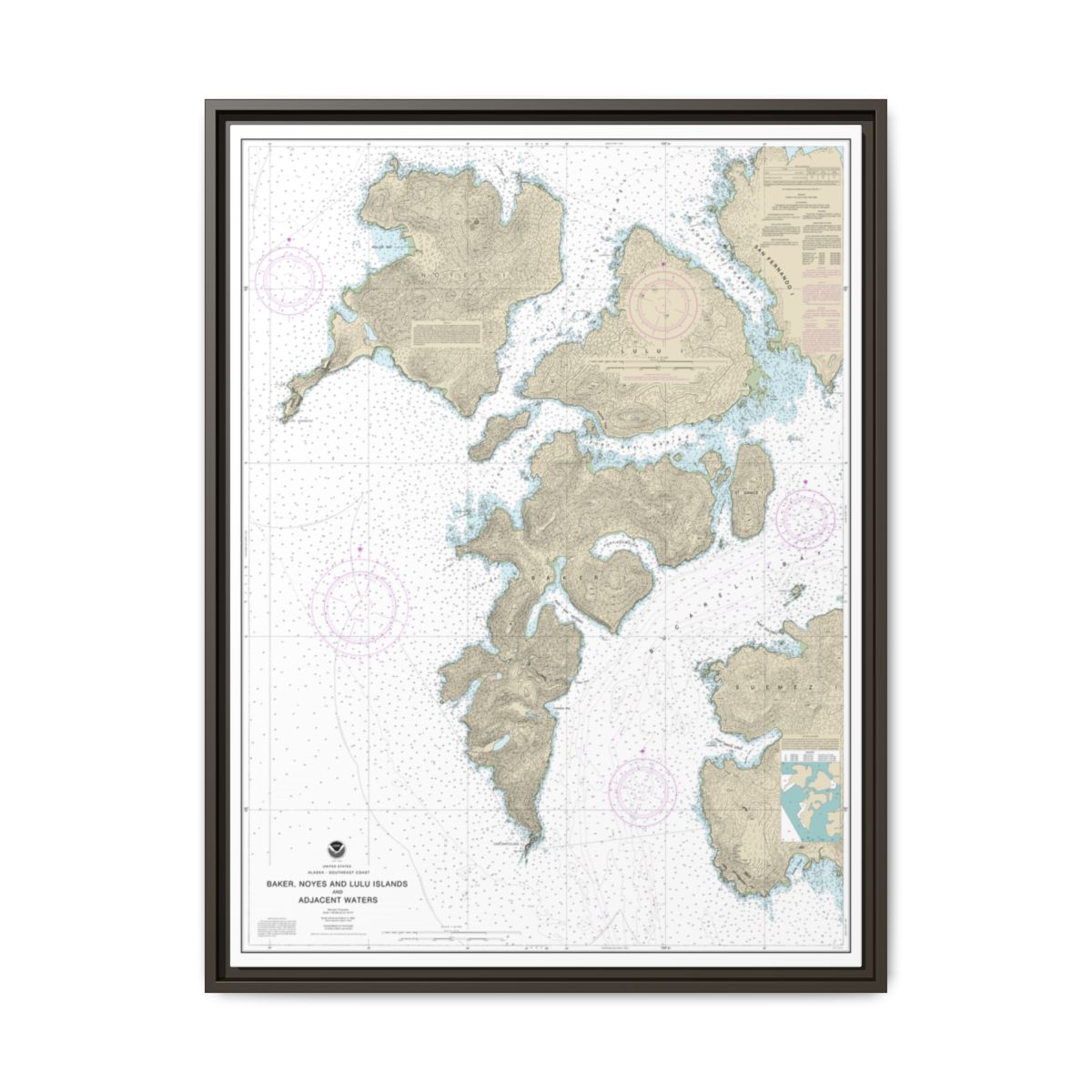 Chart 17406 Baker, Noyes, and LuluIslands and adjacent waters - NOAA Nautical Chart Floating Frame Canvas | 24" x 32" | 30" x 40" - Espresso front