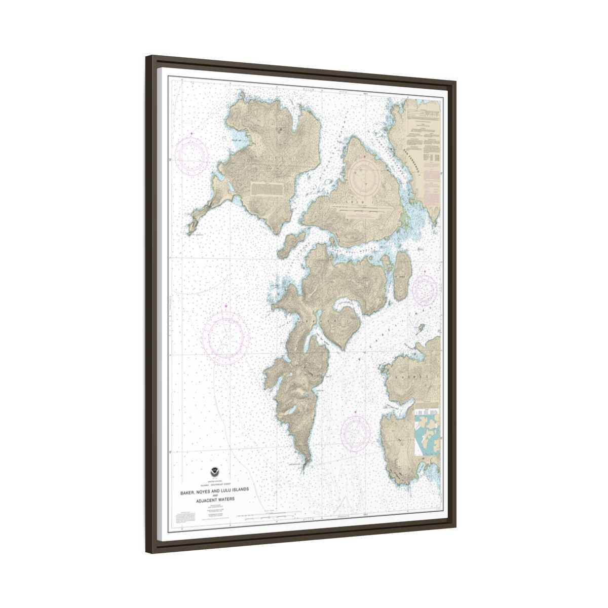Chart 17406 Baker, Noyes, and LuluIslands and adjacent waters - NOAA Nautical Chart Floating Frame Canvas | 24" x 32" | 30" x 40" - Espresso side