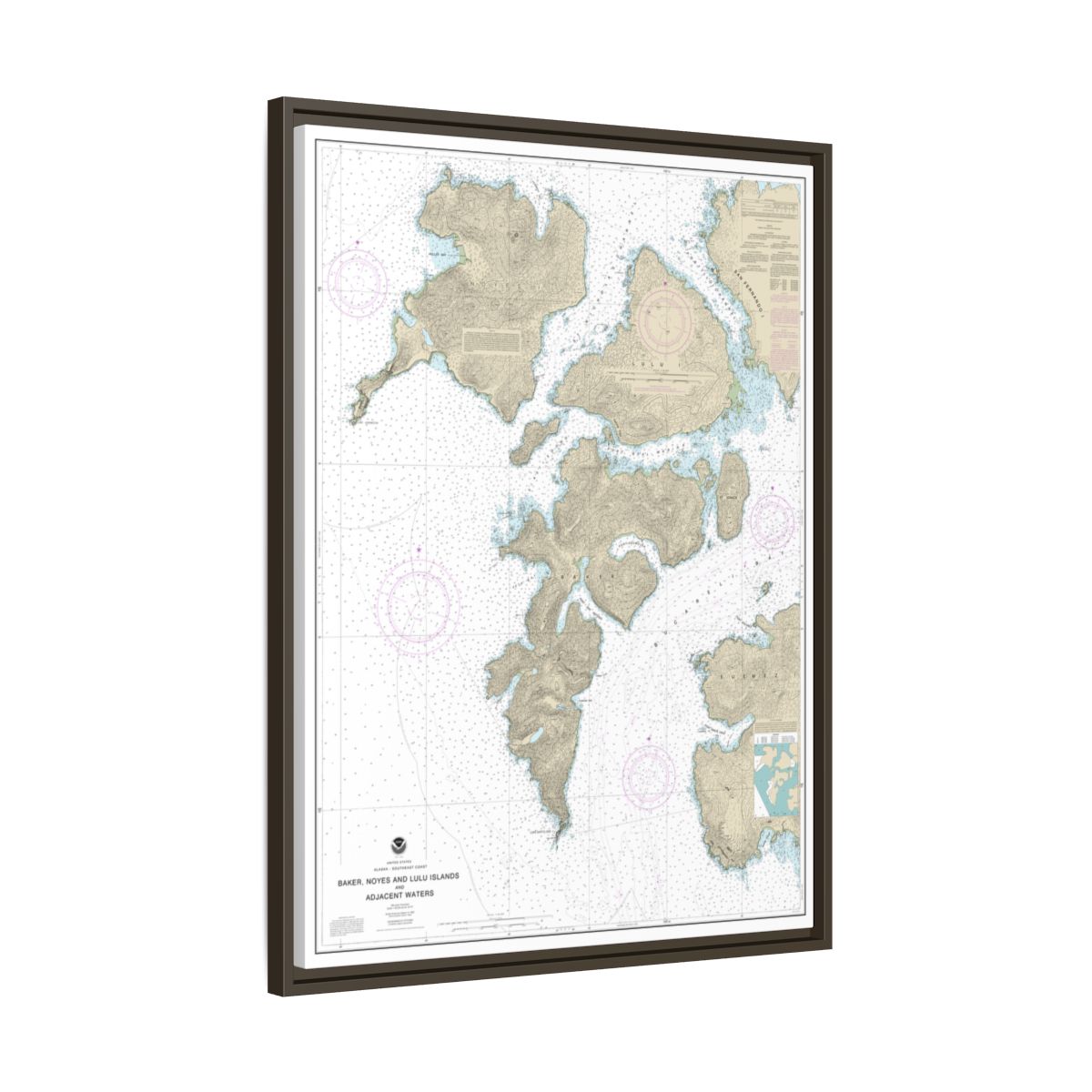 Chart 17406 Baker, Noyes, and LuluIslands and adjacent waters - NOAA Nautical Chart Floating Frame Canvas | 24" x 32" | 30" x 40" - Espresso side