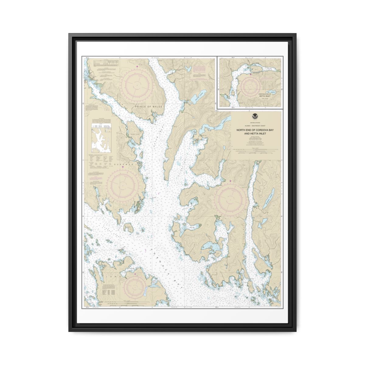 Chart 17431 N. end of Cordova Bay and Hetta Inlet - NOAA Nautical Chart Floating Frame Canvas | 24" x 32" | 30" x 40" - Black front