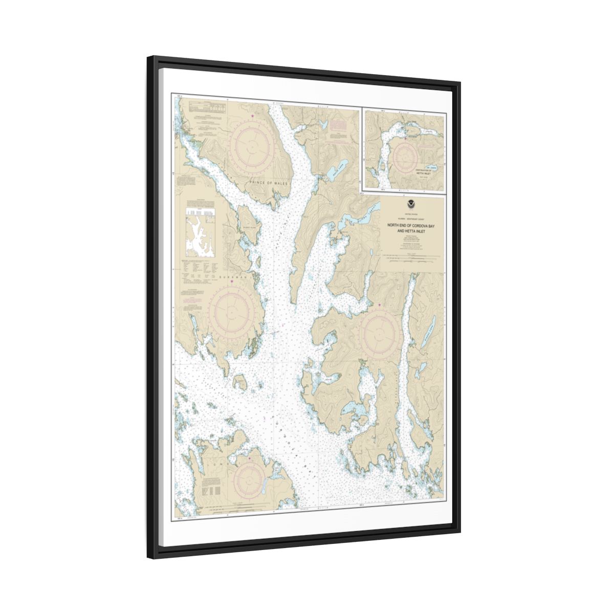 Chart 17431 N. end of Cordova Bay and Hetta Inlet - NOAA Nautical Chart Floating Frame Canvas | 24" x 32" | 30" x 40" - Black side