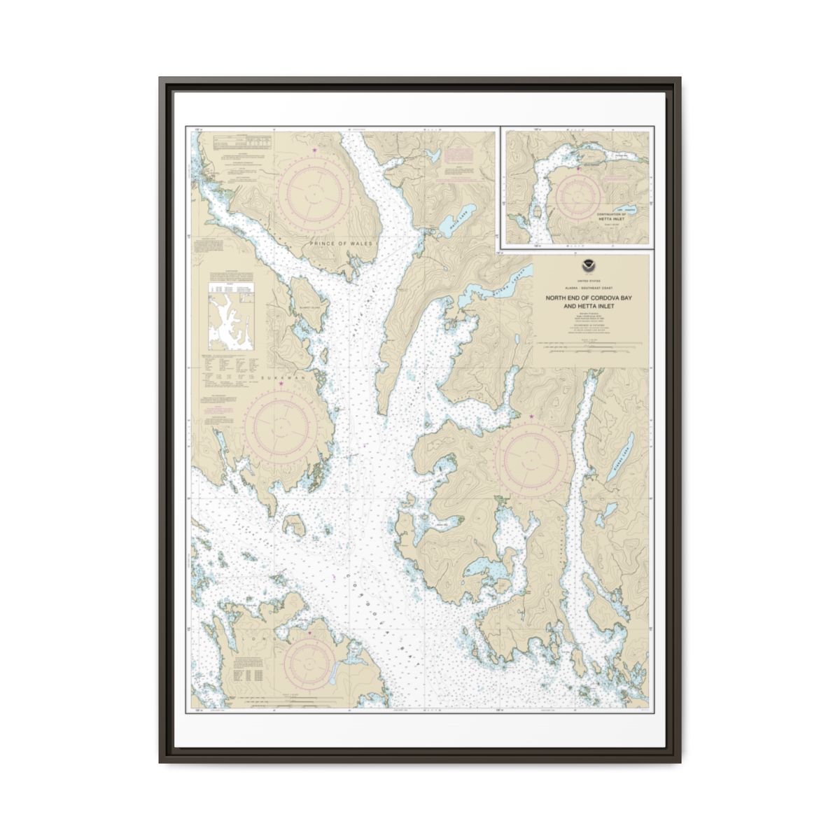 Chart 17431 N. end of Cordova Bay and Hetta Inlet - NOAA Nautical Chart Floating Frame Canvas | 24" x 32" | 30" x 40" - Espresso front