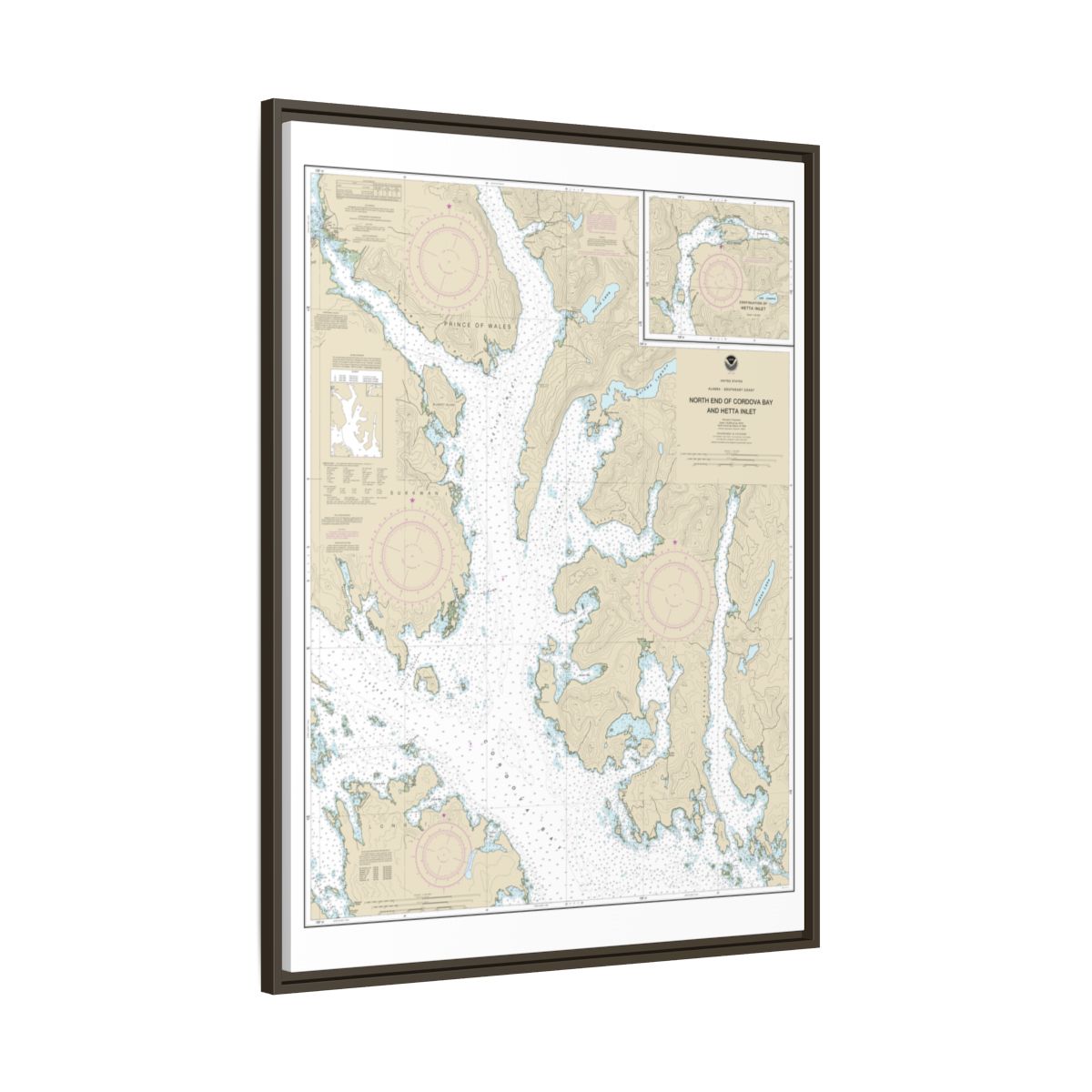 Chart 17431 N. end of Cordova Bay and Hetta Inlet - NOAA Nautical Chart Floating Frame Canvas | 24" x 32" | 30" x 40" - Espresso side