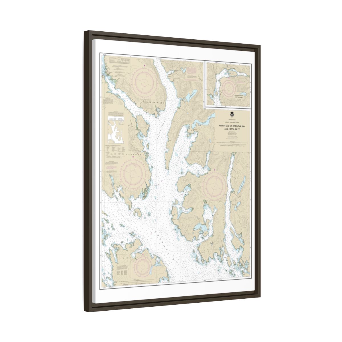 Chart 17431 N. end of Cordova Bay and Hetta Inlet - NOAA Nautical Chart Floating Frame Canvas | 24" x 32" | 30" x 40" - Espresso side