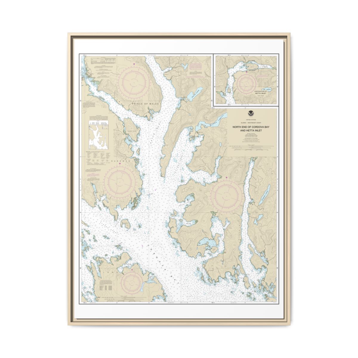 Chart 17431 N. end of Cordova Bay and Hetta Inlet - NOAA Nautical Chart Floating Frame Canvas | 24" x 32" | 30" x 40" - Natural front