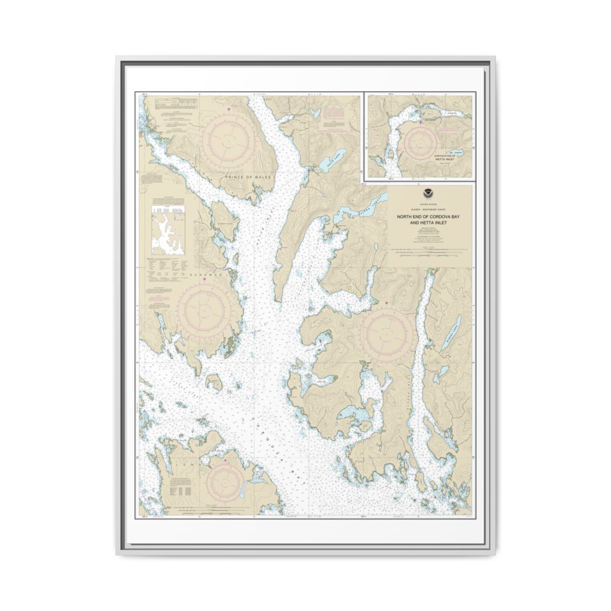 Chart 17431 N. end of Cordova Bay and Hetta Inlet - NOAA Nautical Chart Floating Frame Canvas | 24" x 32" | 30" x 40" - White front