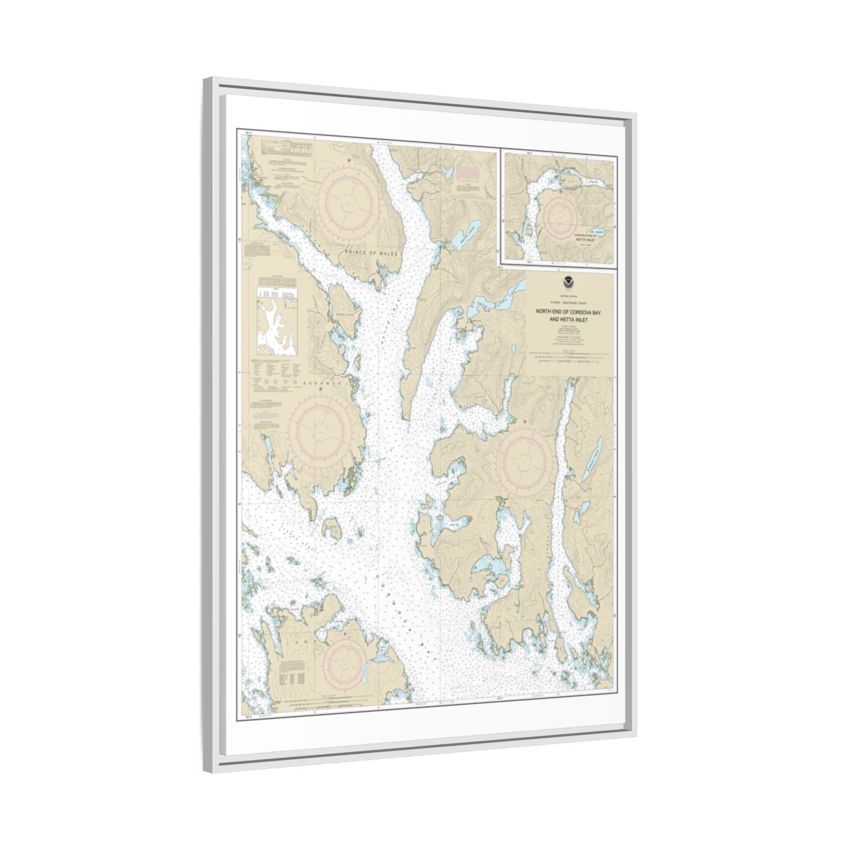 Chart 17431 N. end of Cordova Bay and Hetta Inlet - NOAA Nautical Chart Floating Frame Canvas | 24" x 32" | 30" x 40" - White side