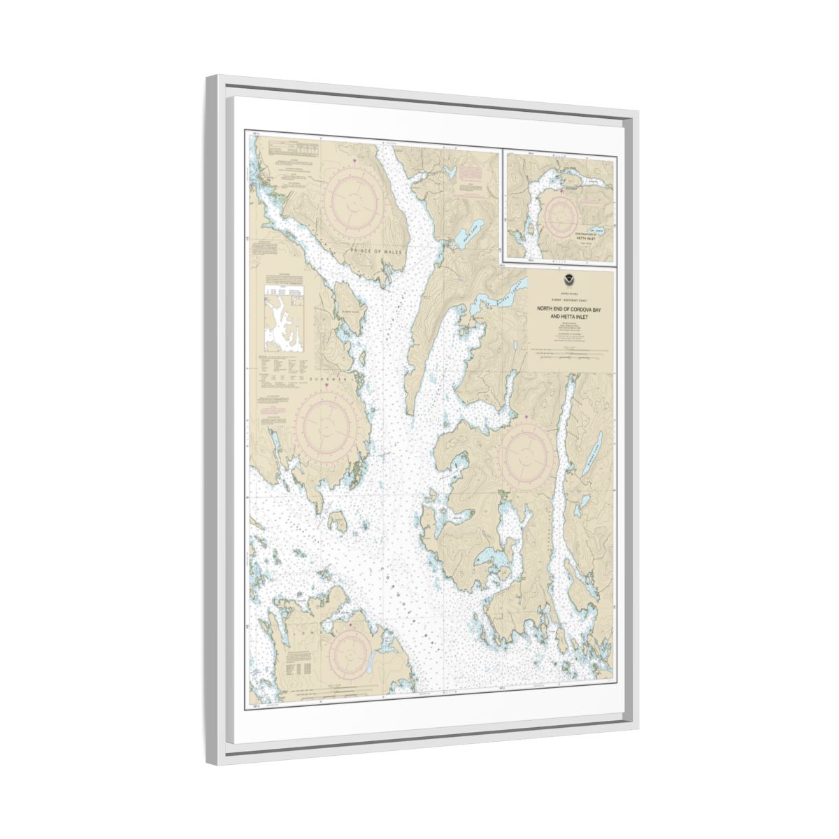 Chart 17431 N. end of Cordova Bay and Hetta Inlet - NOAA Nautical Chart Floating Frame Canvas | 24" x 32" | 30" x 40" - White side