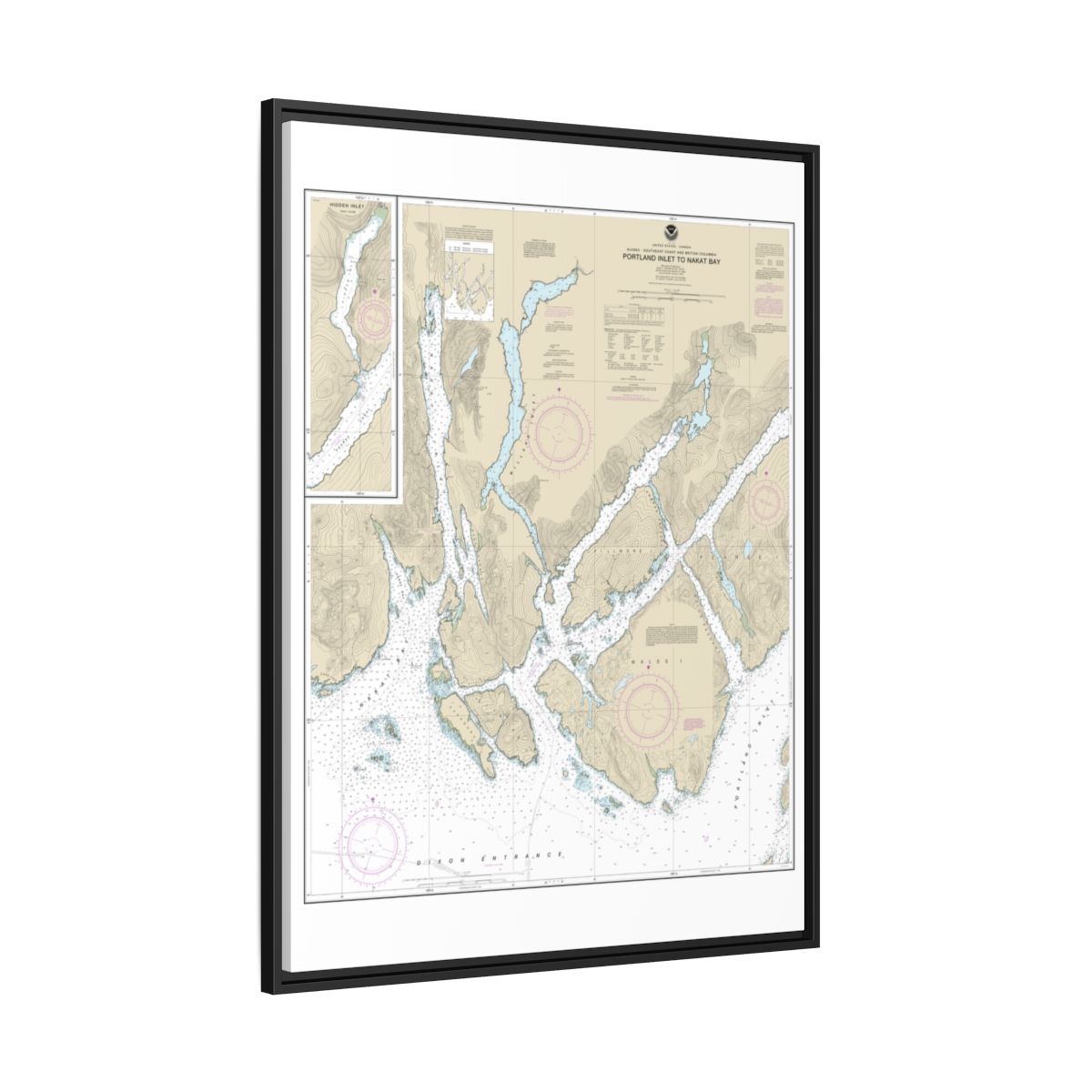 Chart 17437 Portland Inlet to Nakat Bay - NOAA Nautical Chart Floating Frame Canvas | 24" x 32" | 30" x 40" - Black side