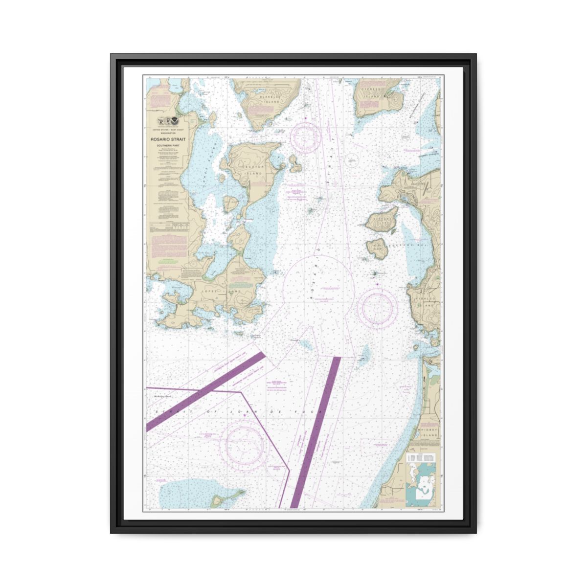 Chart 18429 Rosario Strait-southern part - NOAA Nautical Chart Floating Frame Canvas | 24" x 32" | 30" x 40" - Black front