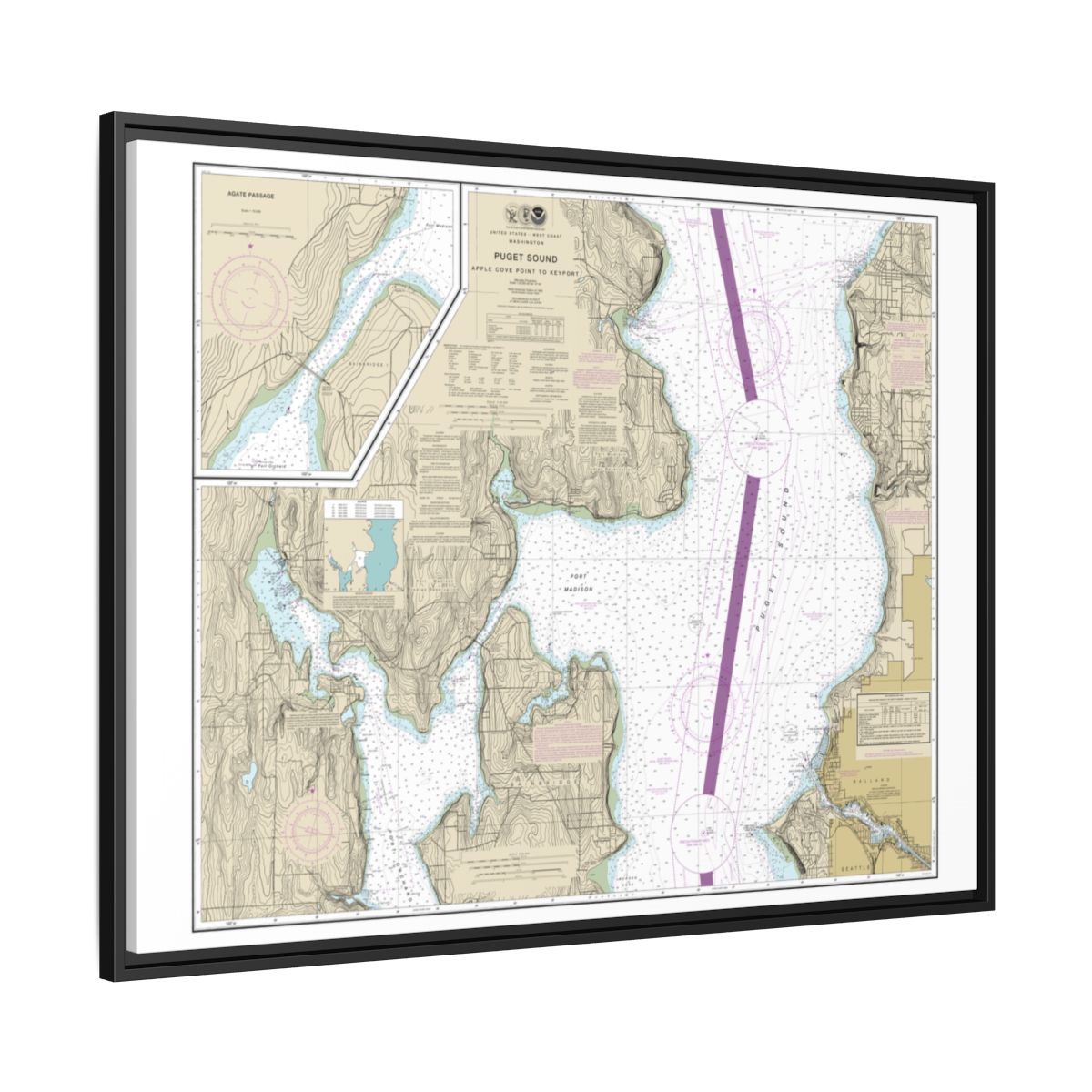 Chart 18446 Puget Sound-Apple Cove Point to Keyport;Agate Passage - NOAA Nautical Chart Floating Frame Canvas | 32" x 24" | 40" x 30" - Black side