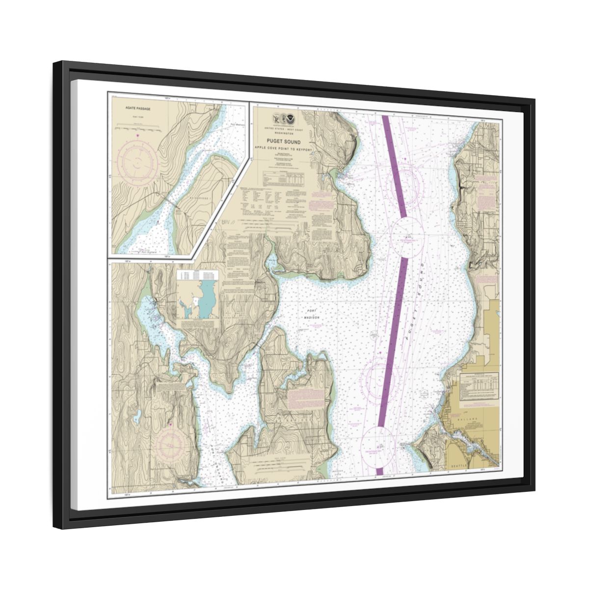 Chart 18446 Puget Sound-Apple Cove Point to Keyport;Agate Passage - NOAA Nautical Chart Floating Frame Canvas | 32" x 24" | 40" x 30" - Black side
