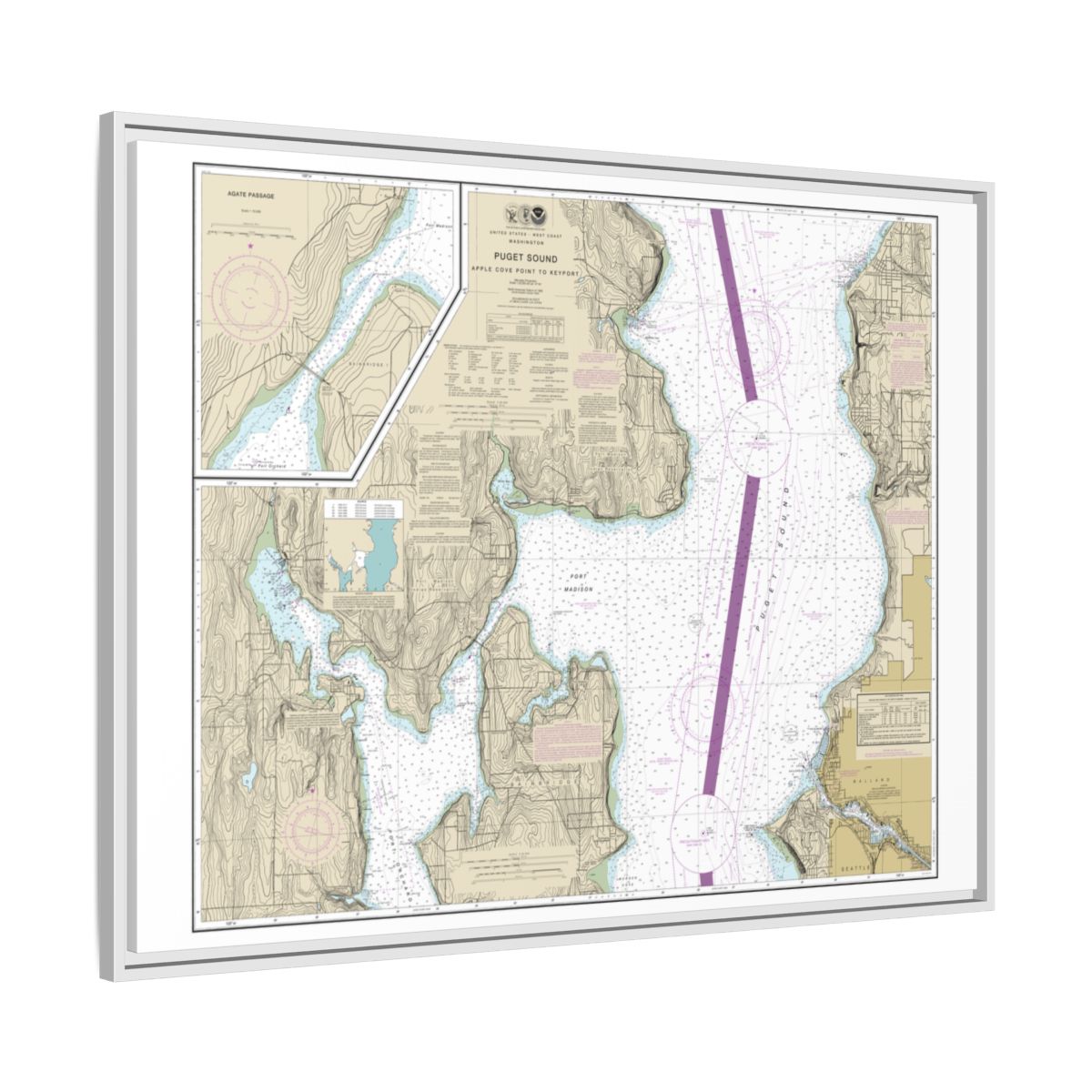 Chart 18446 Puget Sound-Apple Cove Point to Keyport;Agate Passage - NOAA Nautical Chart Floating Frame Canvas | 32" x 24" | 40" x 30" - White side