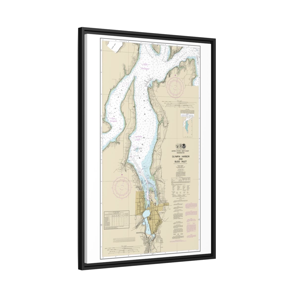 Chart 18456 Olympia Harbor and Budd Inlet - NOAA Nautical Chart Floating Frame Canvas | 20" x 30" | 24" x 36" | 32" x 48" - Black side