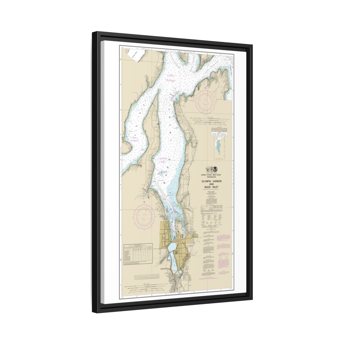 Chart 18456 Olympia Harbor and Budd Inlet - NOAA Nautical Chart Floating Frame Canvas | 20" x 30" | 24" x 36" | 32" x 48" - Black side