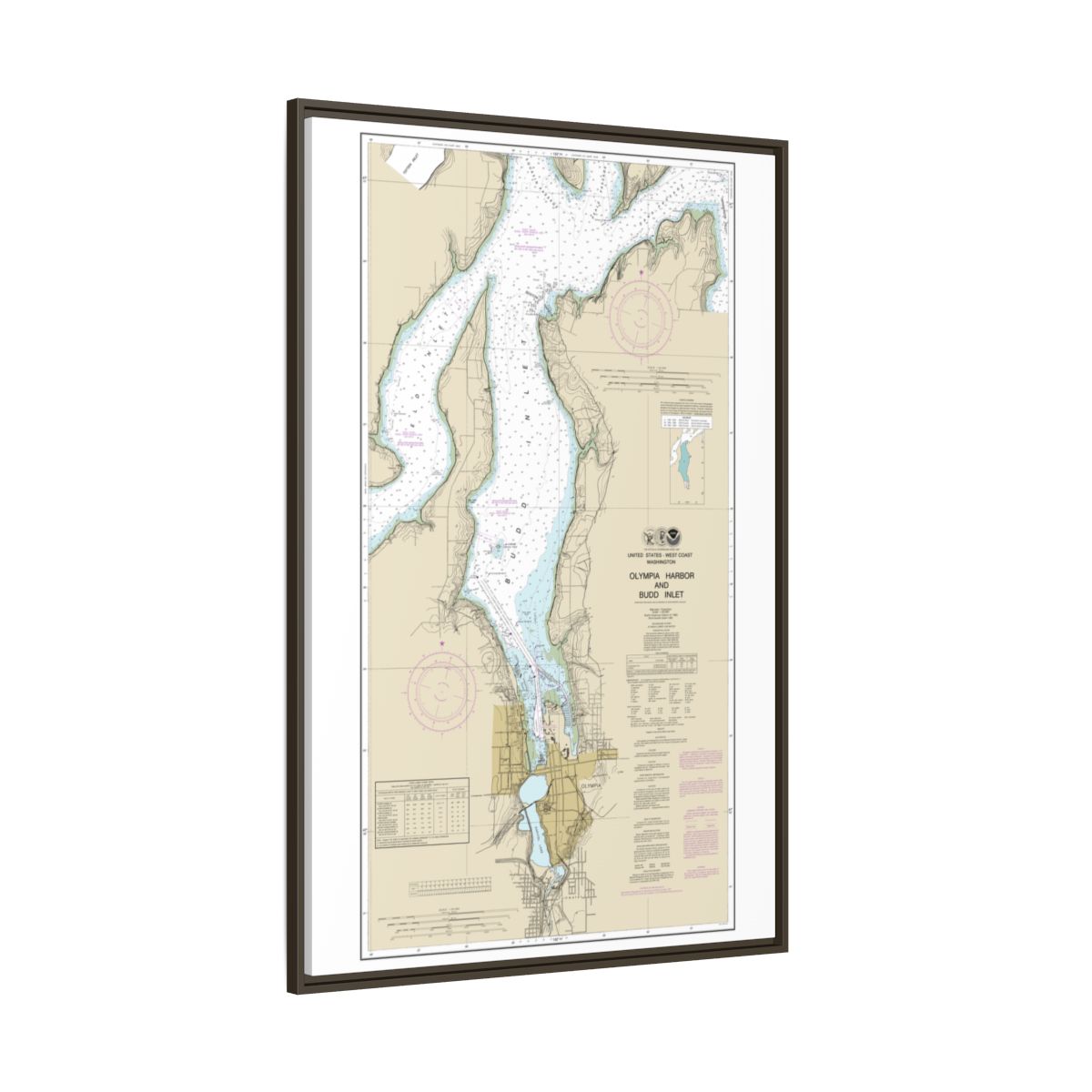Chart 18456 Olympia Harbor and Budd Inlet - NOAA Nautical Chart Floating Frame Canvas | 20" x 30" | 24" x 36" | 32" x 48" - Espresso side
