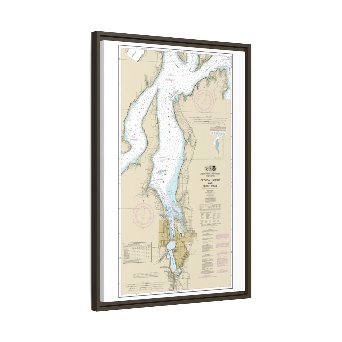 Chart 18456 Olympia Harbor and Budd Inlet - NOAA Nautical Chart Floating Frame Canvas | 20" x 30" | 24" x 36" | 32" x 48" - Espresso side