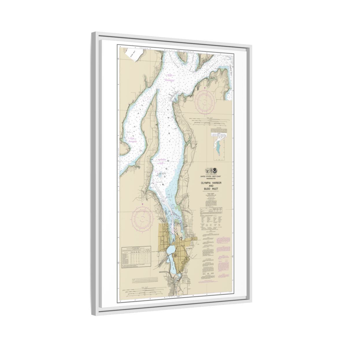 Chart 18456 Olympia Harbor and Budd Inlet - NOAA Nautical Chart Floating Frame Canvas | 20" x 30" | 24" x 36" | 32" x 48" - White side